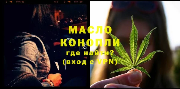 индика Медногорск