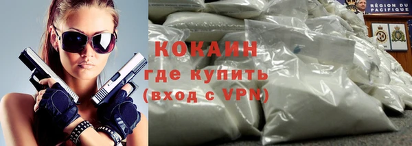 индика Магас