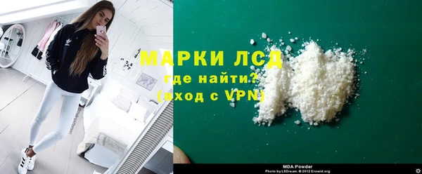 индика Магас