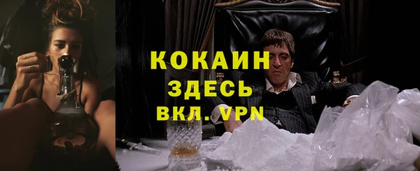 индика Магас