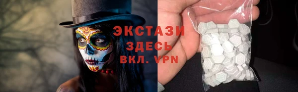 индика Медногорск