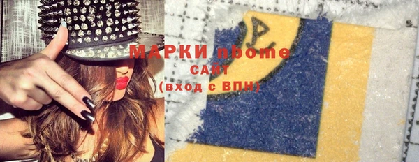 индика Медногорск