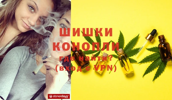 сатива Майский