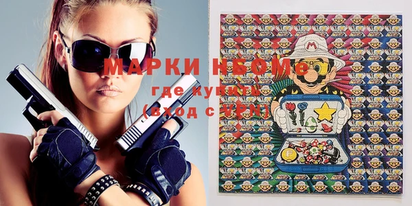 индика Медногорск