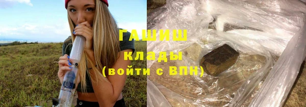 индика Медногорск