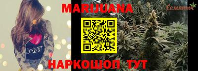 apvp Камышлов