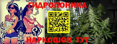 гашиш Канаш