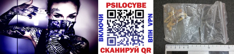 где найти Муравленко Галлюциногенные грибы ЛСД