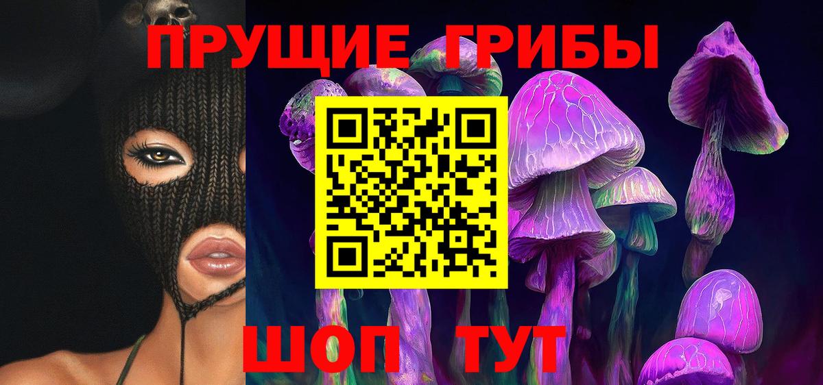 Муравленко  Псилоцибиновые грибы MAGIC MUSHROOMS  Вход с VPN 